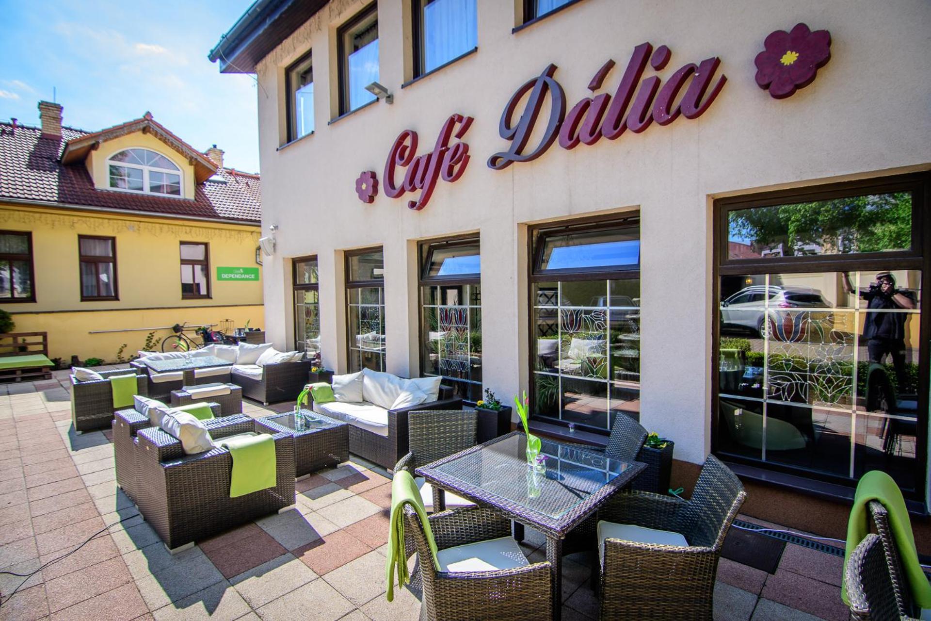 Eco Friendly Dalia Kosice