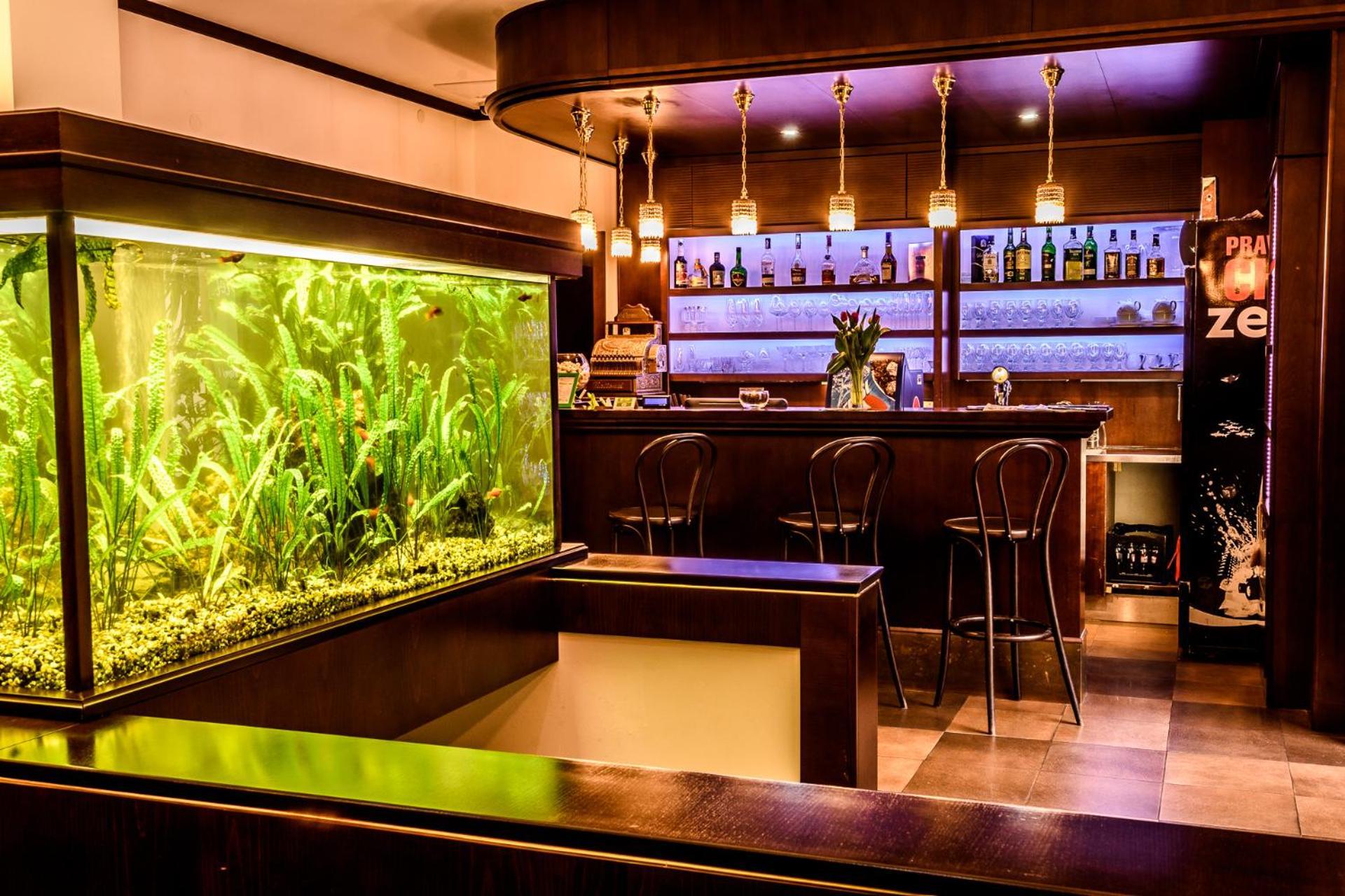 Eco Friendly Dalia Hotel Kosice