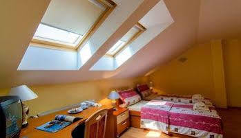 Eco Friendly Dalia Kosice